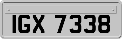 IGX7338