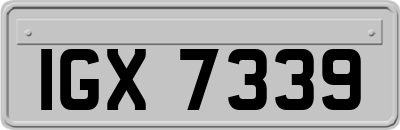 IGX7339