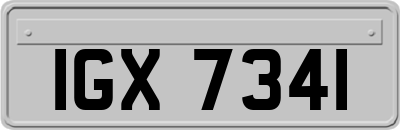 IGX7341