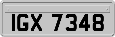 IGX7348