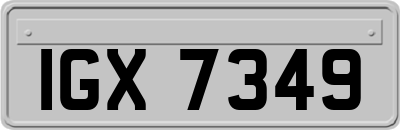IGX7349