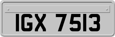 IGX7513