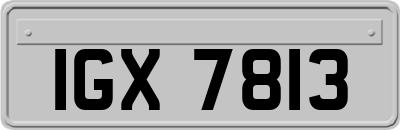 IGX7813