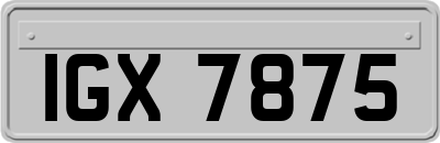 IGX7875