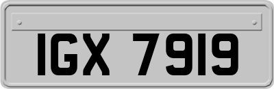 IGX7919