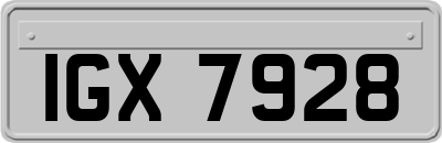 IGX7928