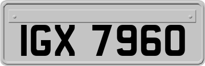 IGX7960