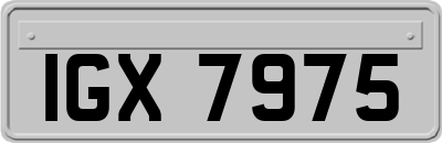 IGX7975