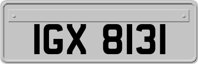 IGX8131