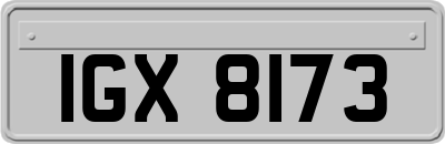 IGX8173