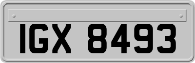IGX8493