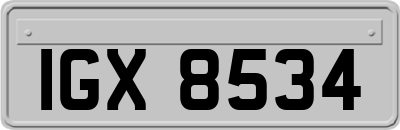 IGX8534