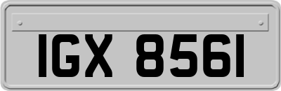 IGX8561