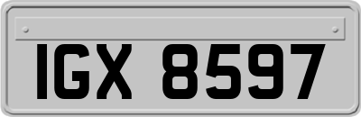 IGX8597