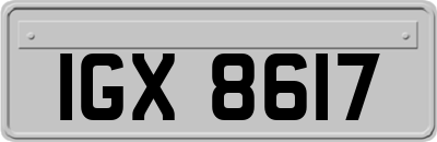 IGX8617