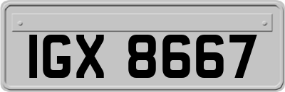 IGX8667