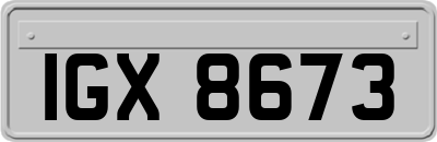 IGX8673