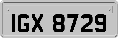 IGX8729