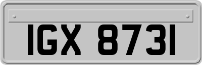 IGX8731
