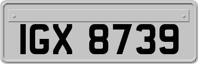 IGX8739
