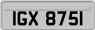 IGX8751