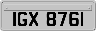 IGX8761