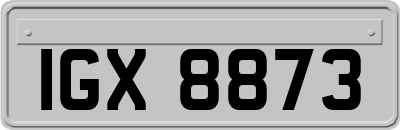 IGX8873