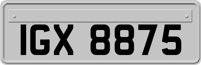 IGX8875