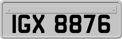 IGX8876