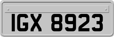 IGX8923