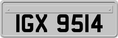 IGX9514