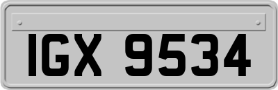 IGX9534