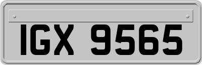 IGX9565