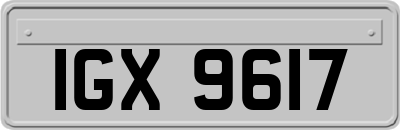 IGX9617