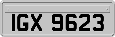 IGX9623