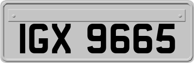 IGX9665
