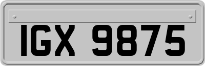 IGX9875