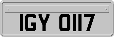 IGY0117