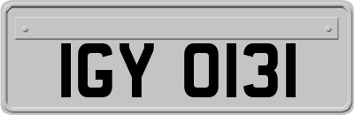 IGY0131