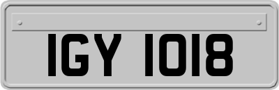 IGY1018