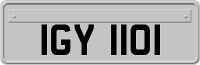 IGY1101