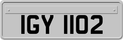 IGY1102