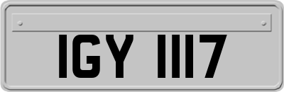 IGY1117