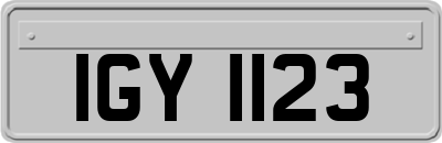 IGY1123