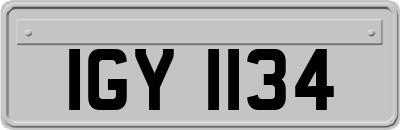 IGY1134