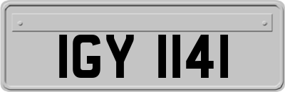 IGY1141