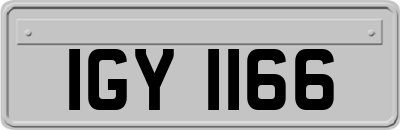 IGY1166