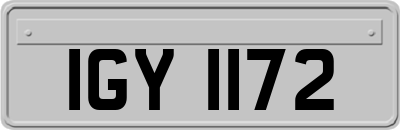 IGY1172