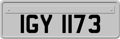 IGY1173