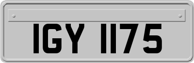 IGY1175